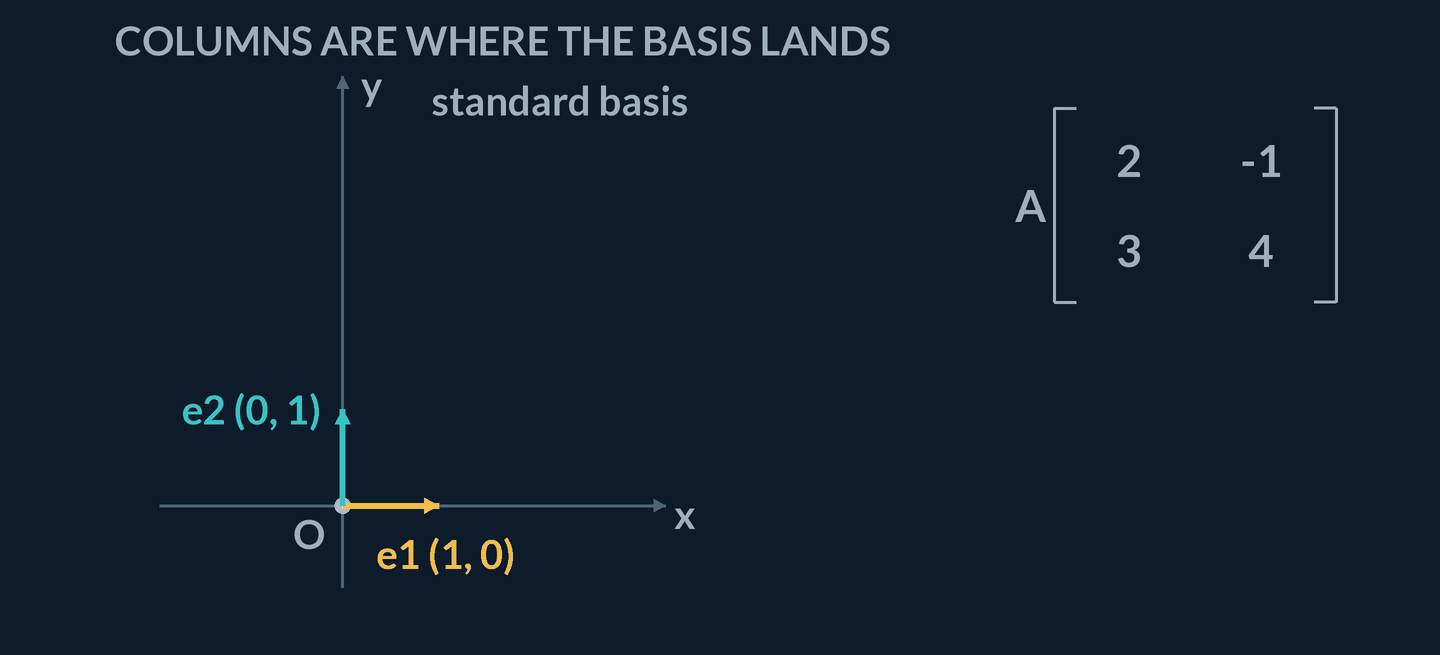 Animation: a coordinate plane holds a gold unit arrow e1 equals (1, 0) along the x-axis and a teal unit arrow e2 equals (0, 1) along the y-axis, with matrix A drawn to the right as columns 2, 3 and -1, 4. The gold arrow travels off the axis to (2, 3), leaving a slate dot where e1 started; a chip reads Ae1 equals (2, 3), the caption reads column 1 of A, and column 1 of the matrix lights gold. The teal arrow then travels to (-1, 4); a chip reads Ae2 equals (-1, 4), the caption reads column 2 of A, and column 2 lights teal. The board changes to a weighting ledger: x equals (5, 2), then 5 times Ae1 equals 5 times (2, 3) equals (10, 15), then 2 times Ae2 equals 2 times (-1, 4) equals (-2, 8), then sum equals (8, 23). The closing hold reads the column reading and the row dot products agree. The sum is shown only as ledger rows, never as an arrow on the plane.