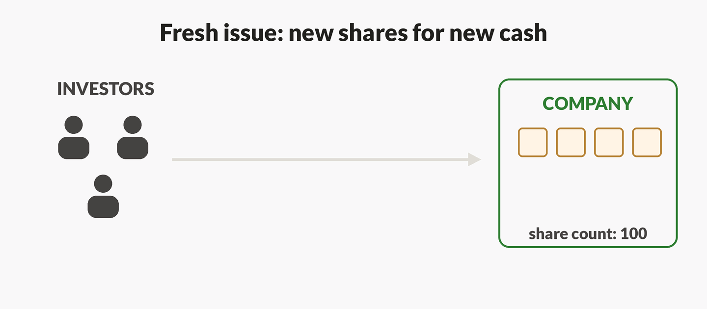 Animation: cash packets move from investors to the company while new share squares appear and share count rises.